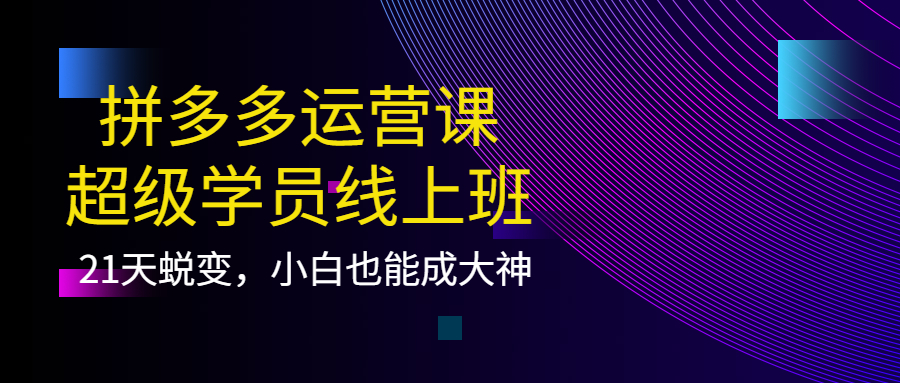 拼多多运营课：超级学员线上班，21天蜕变，小白也能成大神-智宝网创