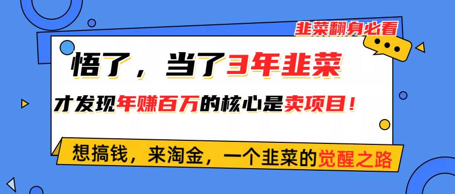 悟了，当了3年韭菜，才发现网赚圈年赚100万的核心是卖项目，含泪分享！-智宝网创
