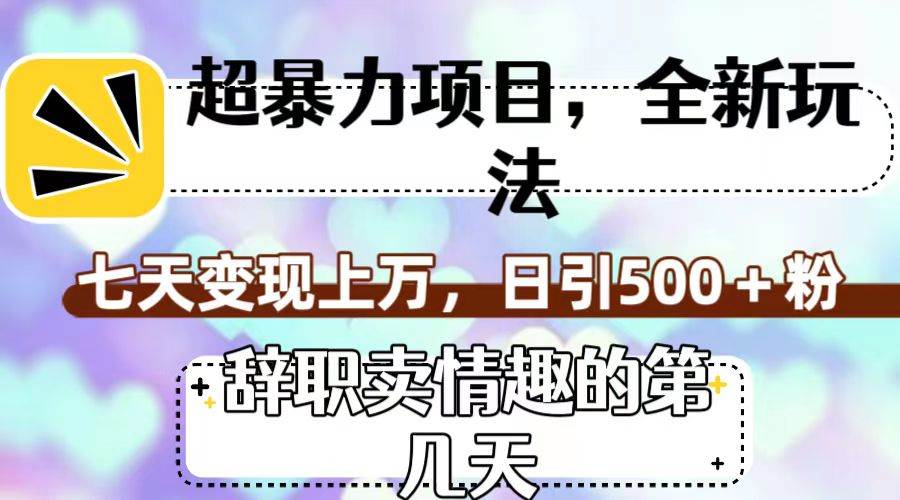 超暴利项目，全新玩法（辞职卖情趣的第几天），七天变现上万，日引500+粉-智宝网创