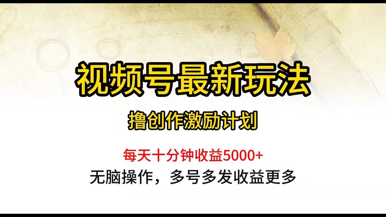视频号最新玩法，每日一小时月入5000+-智宝网创