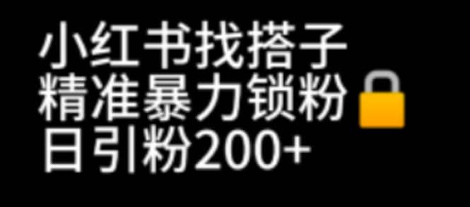 小红书找搭子暴力精准锁粉+引流日引200+精准粉-智宝网创