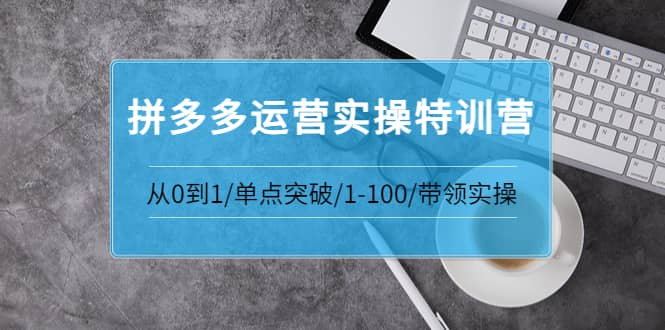 拼多多运营实操特训营：从0到1/单点突破/1-100/带领实操 价值2980元-智宝网创