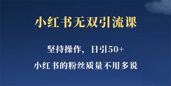 小红书无双课一天引50+女粉，不用做视频发视频，小白也很容易上手拿到结果-智宝网创