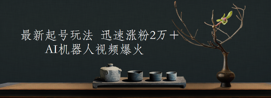 最新起号玩法，AI机器人视频爆火，迅速涨粉2万＋-智宝网创