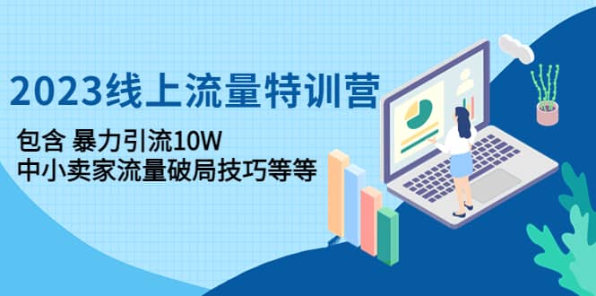2023线上流量特训营：中小卖家流量破局技巧等等-智宝网创