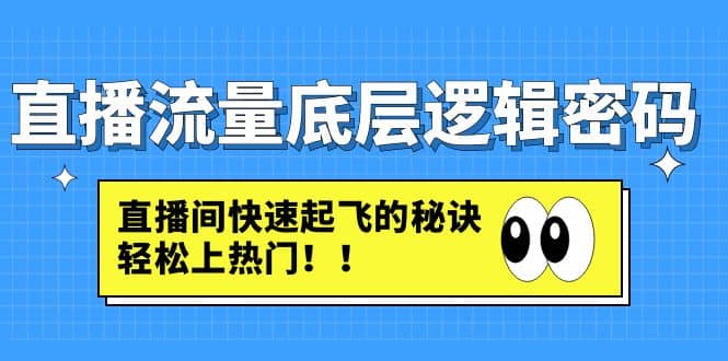 直播流量底层逻辑密码：直播间快速起飞的秘诀，轻松上热门-智宝网创