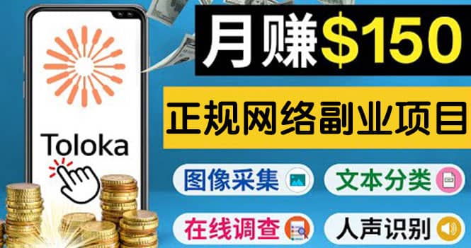 正规网络副业赚钱平台Toloka，利用业余时间月赚150美元-智宝网创