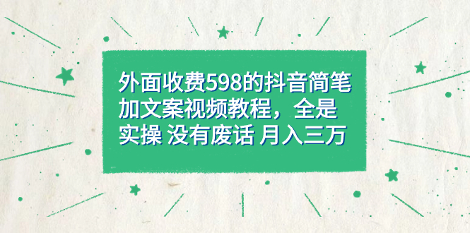 外面收费598抖音简笔加文案教程，全是实操 没有废话 月入三万（教程+资料）-智宝网创