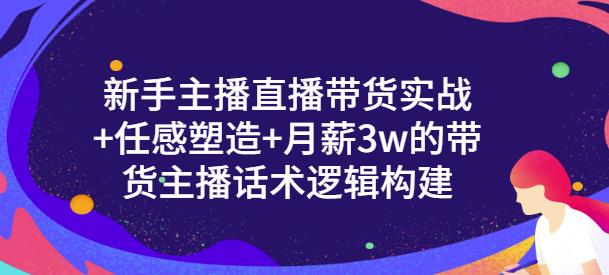 新手主播直播带货实战+信任感塑造+月薪3w的带货主播话术逻辑构建-智宝网创