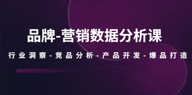 品牌-营销数据分析课，行业洞察-竞品分析-产品开发-爆品打造-智宝网创
