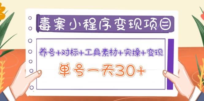 毒案小程序变现项目：养号+对标+工具素材+实操+变现-智宝网创