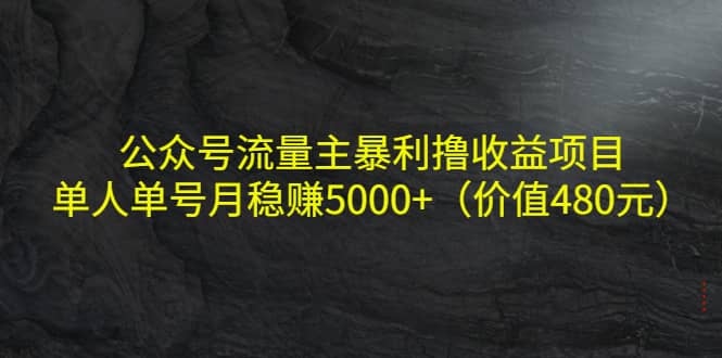 公众号流量主暴利撸收益项目，单人单号月稳赚5000+（价值480元）-智宝网创
