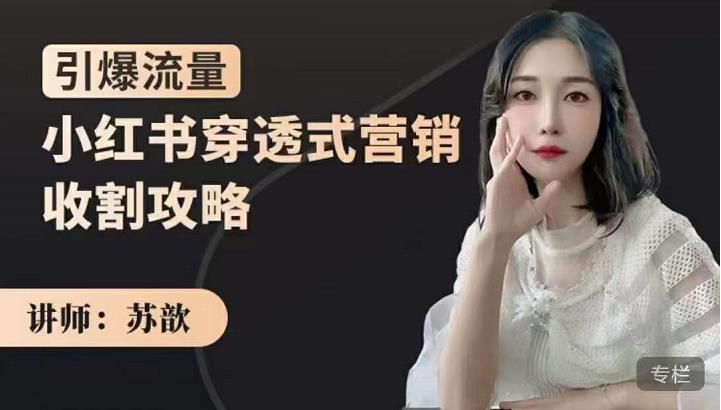 小红书穿透式营销收割攻略，引爆流量，助你玩转小红书-智宝网创