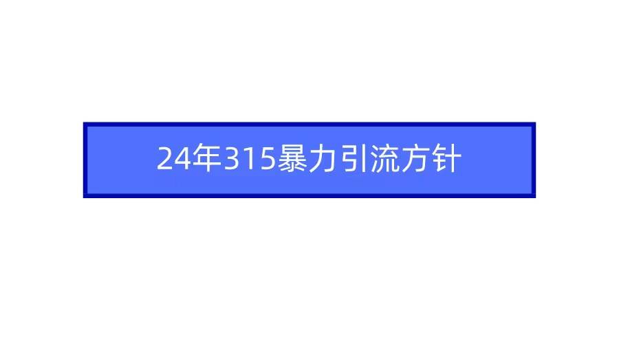 2024年315暴力引流方针-智宝网创