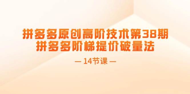 拼多多原创高阶技术第38期，拼多多阶梯提价破量法（14节课）-智宝网创