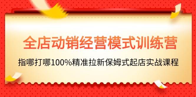 全店动销-经营模式训练营，指哪打哪100%精准拉新保姆式起店实战课程-智宝网创
