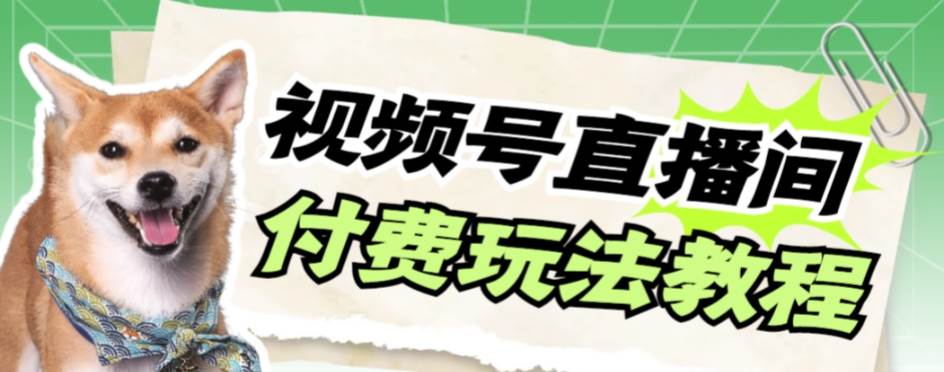 视频号美女付费无人直播，轻松日入500+【详细玩-智宝网创
