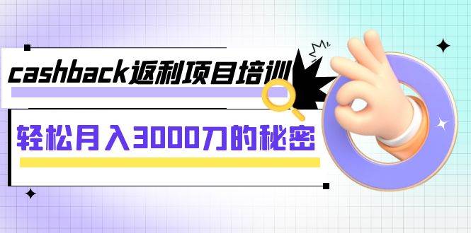 cashback返利项目培训：轻松月入3000刀的秘密（8节课）-智宝网创
