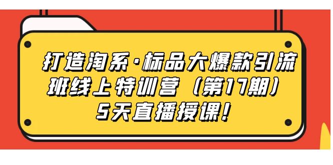 打造淘系·标品大爆款引流班线上特训营5天直播授课！-智宝网创