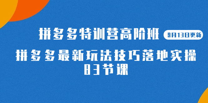 2023拼多多·特训营高阶班【9月13日更新】拼多多最新玩法技巧落地实操-83节-智宝网创