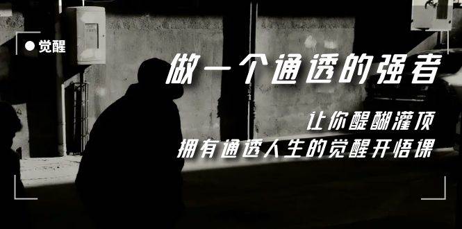 觉醒-做一个通透强者，让你醍醐灌顶，拥有通透人生，掌握强大的秘密-智宝网创