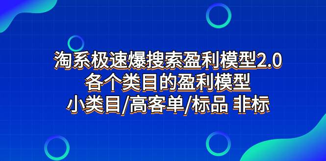 淘系极速爆搜索盈利模型2.0，各个类目的盈利模型，小类目/高客单/标品 非标-智宝网创