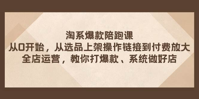 淘系爆款陪跑课 从选品上架操作链接到付费放大 全店运营 打爆款 系统做好店-智宝网创