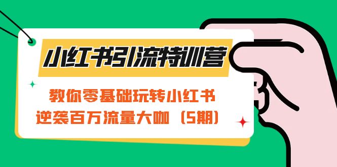 小红书引流特训营-第5期：教你零基础玩转小红书，逆袭百万流量大咖-智宝网创