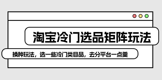 淘宝冷门选品矩阵玩法：换种玩法，选一些冷门类目品，去分平台一点羹-智宝网创