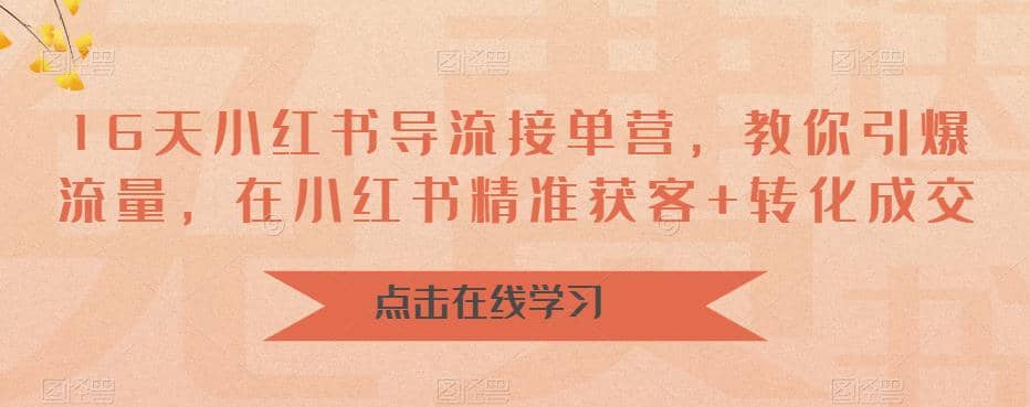 16天-小红书 导流接单营，教你引爆流量，在小红书精准获客+转化成交-智宝网创