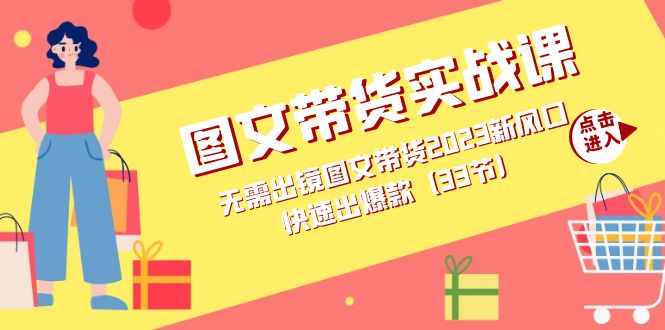 图文带货实战课：无需出镜图文带货2023新风口，快速出爆款（33节）-智宝网创