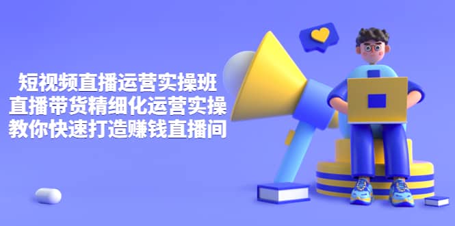 短视频直播运营实操班，直播带货精细化运营实操，教你快速打造赚钱直播间-智宝网创