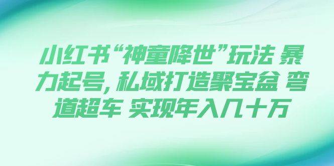 小红书“神童降世”玩法 暴力起号,私域打造聚宝盆 弯道超车 实现年入几十万-智宝网创