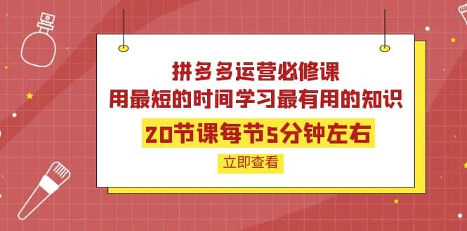拼多多运营必修课：20节课每节5分钟左右，用最短的时间学习最有用的知识-智宝网创