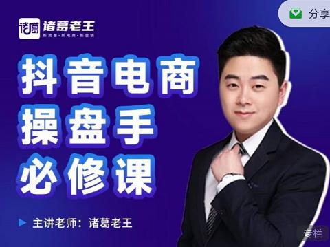 诸葛老王-抖音电商操盘手必修课：顶层设计，​起号破局，爆款运营，数据分析-智宝网创