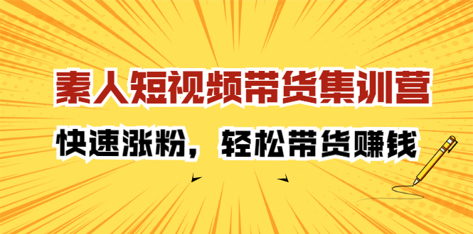 素人短视频带货集训营：快速涨粉，轻松带货赚钱-智宝网创