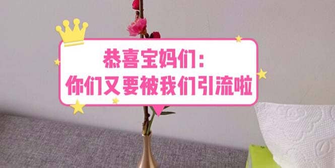 恭喜宝妈们：你们又要被我们引流了（教程+222g资料）-智宝网创
