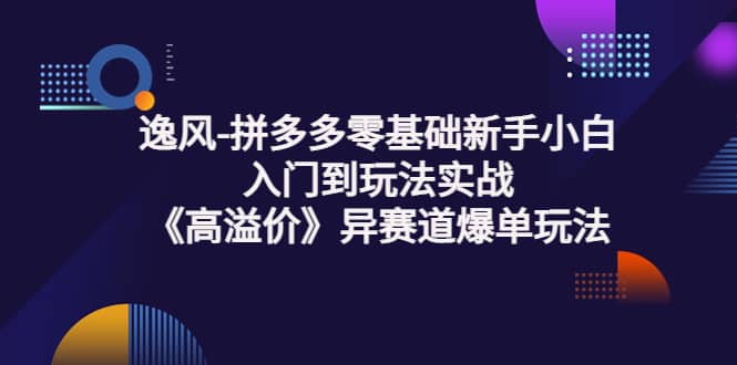 拼多多零基础新手小白入门到玩法实战《高溢价》异赛道爆单玩法实操课-智宝网创