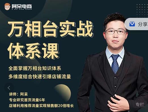 阿呆-万相台实战体系课，帮您全面掌握万相台知识体系-智宝网创
