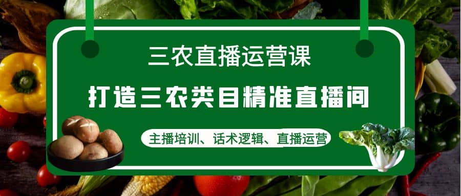 三农直播运营课：打造三农类目精准直播间，主播培训、话术逻辑、直播运营-智宝网创