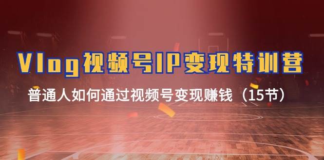Vlog 视频号IP变现特训营，普通人如何通过视频号变现赚钱（15节）-智宝网创