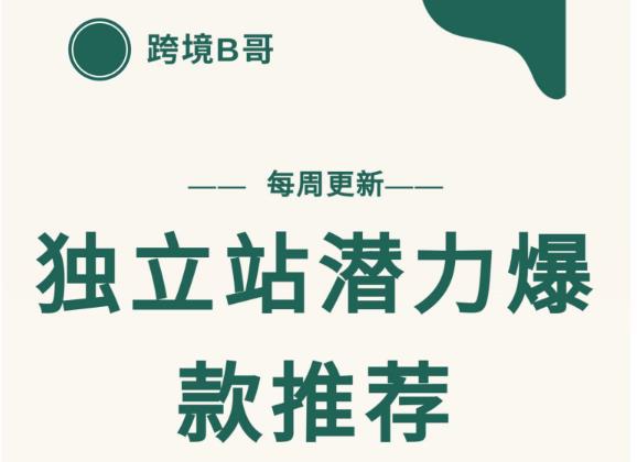 【跨境B哥】独立站潜力爆款选品推荐，测款出单率高达百分之80（每周更新）-智宝网创