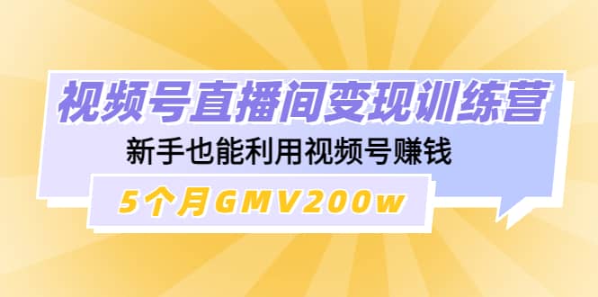 视频号直播间变现训练营-智宝网创