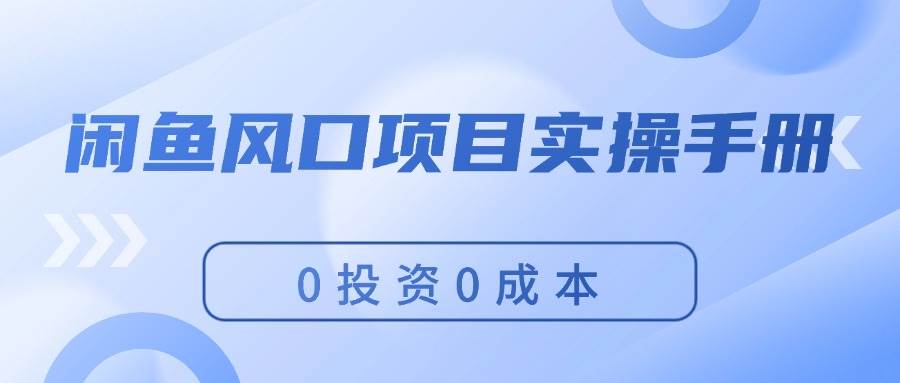 闲鱼风口项目实操手册，0投资0成本，让你做到，月入过万，新手可做-智宝网创