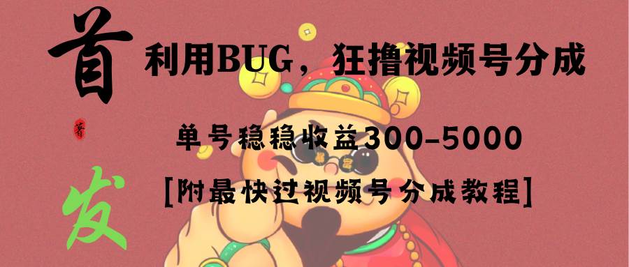 全网独家首发，视频号BUG，超短期项目，单号每日净收益300-5000！-智宝网创