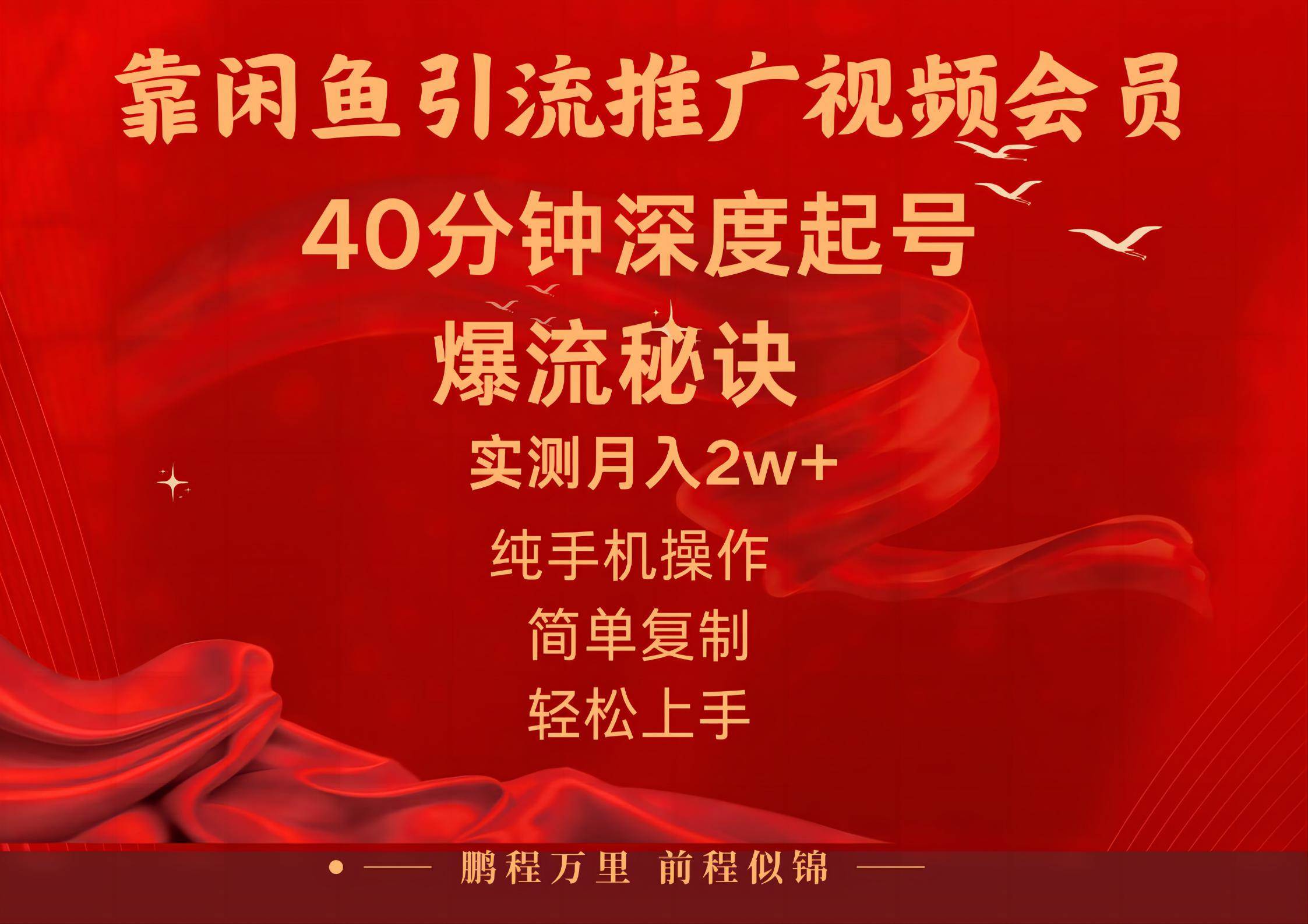 闲鱼暴力引流推广视频会员，能做到日入2W+，操作简单-智宝网创