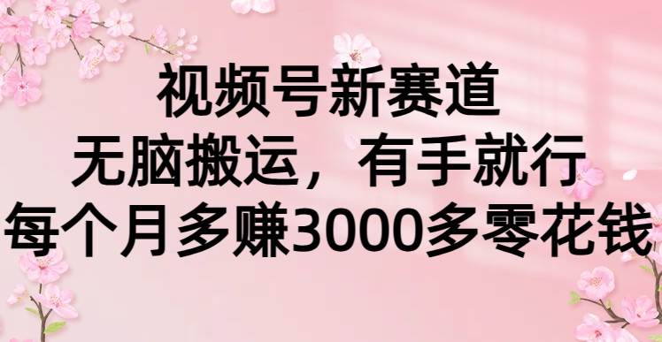 视频号新赛道，无脑搬运，有手就行，每个月多赚3000多零花钱-智宝网创