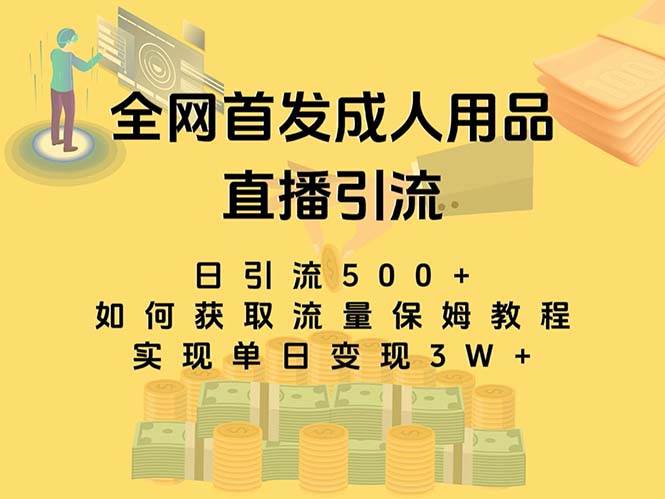 最新全网独创首发，成人用品直播引流获客暴力玩法，单日变现3w保姆级教程-智宝网创