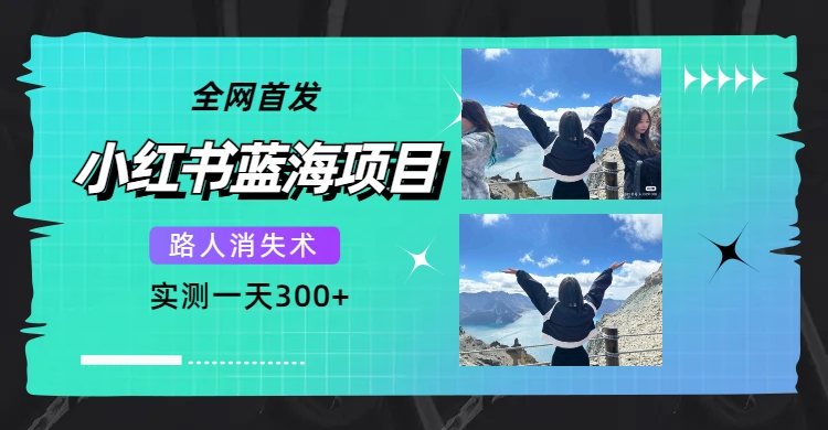 全网首发，小红书蓝海项目，路人消失术，实测一天300+（教程+工具）-智宝网创