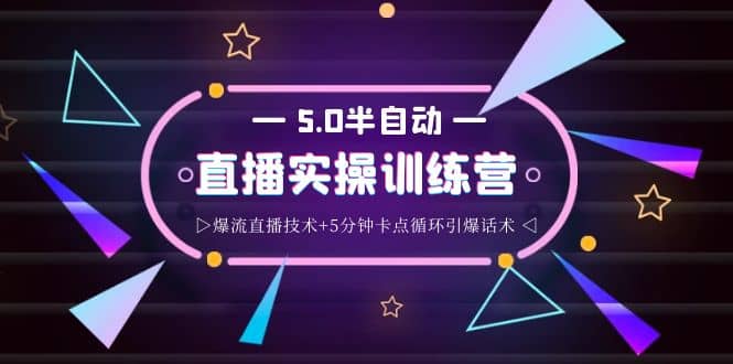 蚂蚁·5.0半自动直播2345打法，半自动爆流直播技术+5分钟卡点循环引爆话术-智宝网创